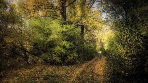 1256863 (a): :2500x1406